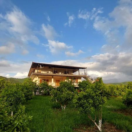 Guest House Xhaferaj Berat Ngoại thất bức ảnh