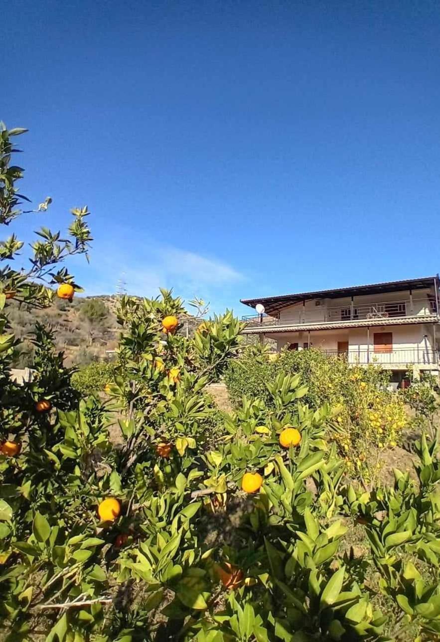 Guest House Xhaferaj Berat Ngoại thất bức ảnh