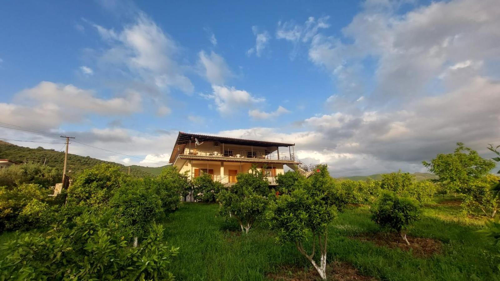 Guest House Xhaferaj Berat Ngoại thất bức ảnh